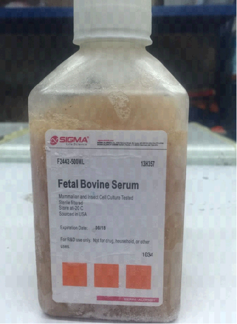 上海百千生物sigma北美特级胎牛血清sigmaf2442500mlfbs胎牛血清现货